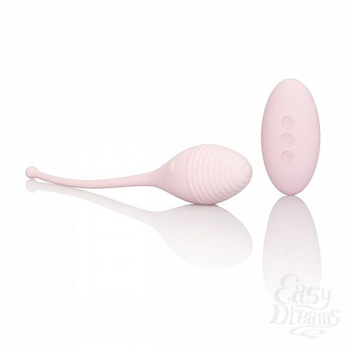  2   Vibrating Remote Kegel Exerciser