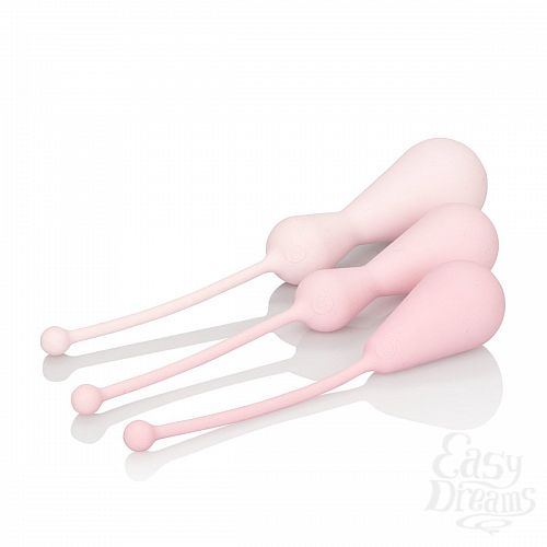  3    3      Weighted Silicone Kegel Training Kit