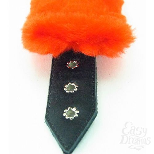 ���������� 6  ����� �� ���� � ����� - BDSM Light, �������