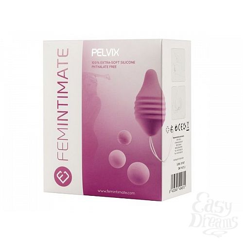  1:      Pelvix Concept:   3   