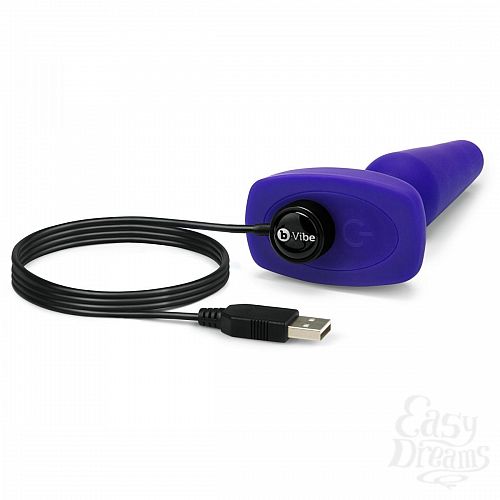  3      3   TRIO REMOTE CONTROL PLUG  PURPLE - 13,5 .