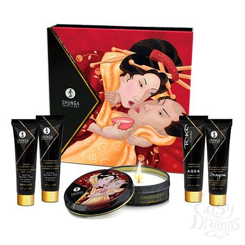  1:    GEISHA