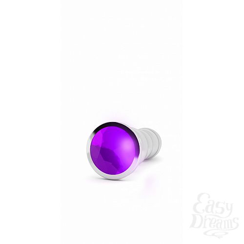  2    4.9 R10 RICH Silver/Purple Sapphire SH-RIC010SIL