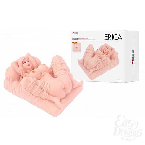  5  -   ERICA   