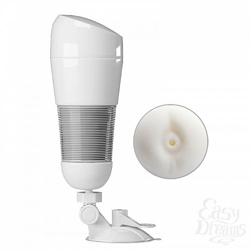  2  -    BM-00900T49N-1