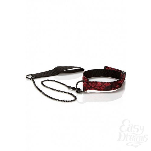  5     :        Scandal Submissive Kit