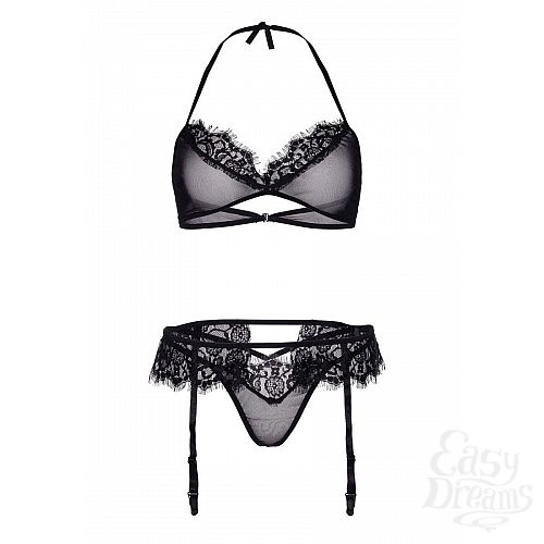  3     BRA TOP, G-STRING   GARTERBELT