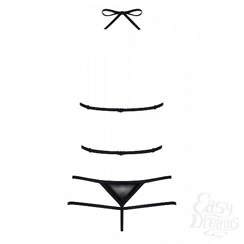  4   Scandalia    wet-