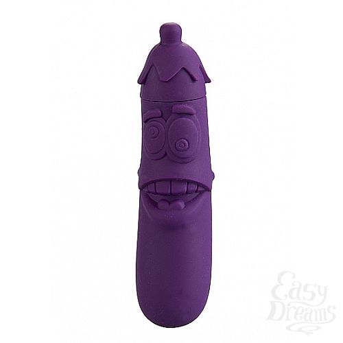 1:    Wild Aubergine SH-SLI069