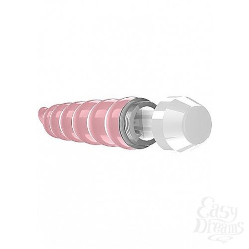 ���������� 2  ������� �������� �������� Lacee � ������ �������� - 15,5 ��.