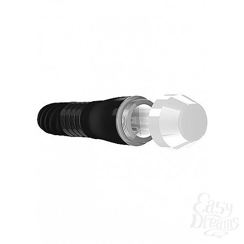 ���������� 2  ׸���� �������� Leila � ��������� ���������� - 15 ��.