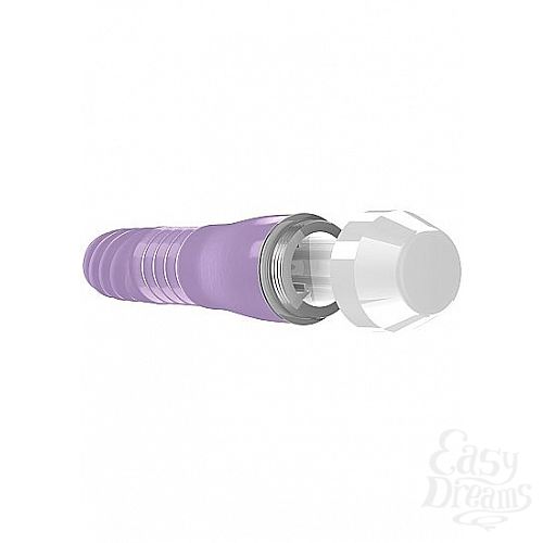 ���������� 2  ���������� �������� Leila � ��������� ���������� - 15 ��.