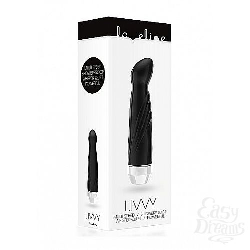  3  ׸  Livvy    - 15,5 .