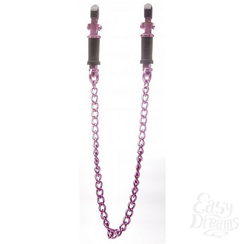  1:      Vice Nipple Clamps