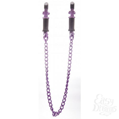  1:      Vice Nipple Clamps