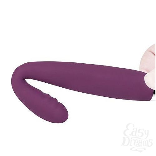  4    Cici Violet    - 18,2 .