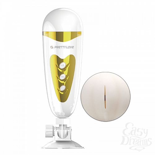  2  -   Sally  BM-00900T50