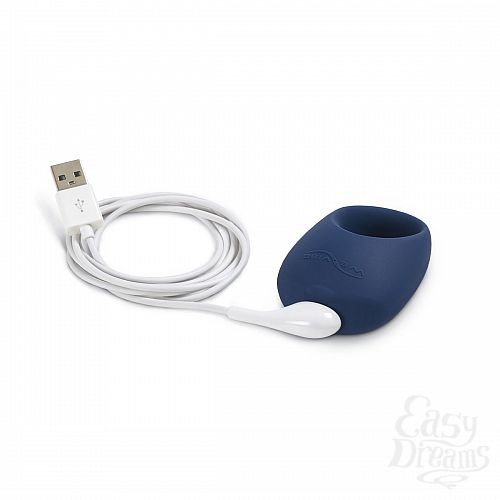  4     We-vibe Pivot