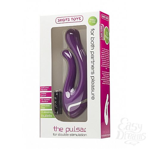  2   The Pulsar 
