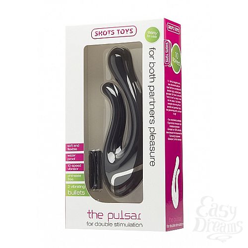  4   The Pulsar 