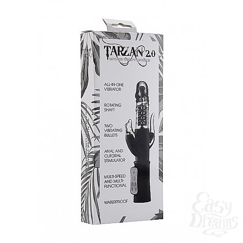 6  -  Tarzan 2  