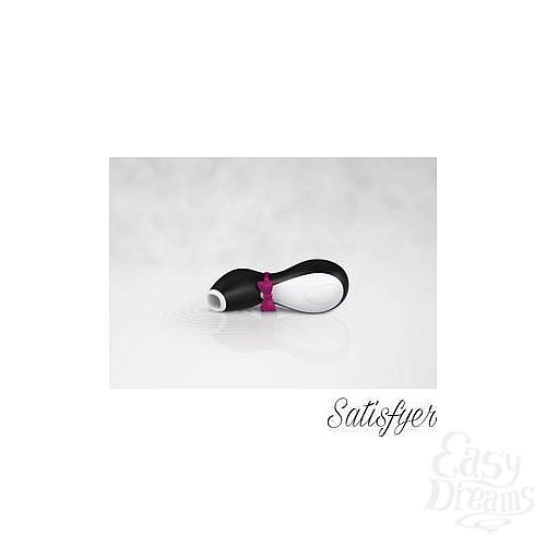  4    Satisfyer Pro Penguin NG 