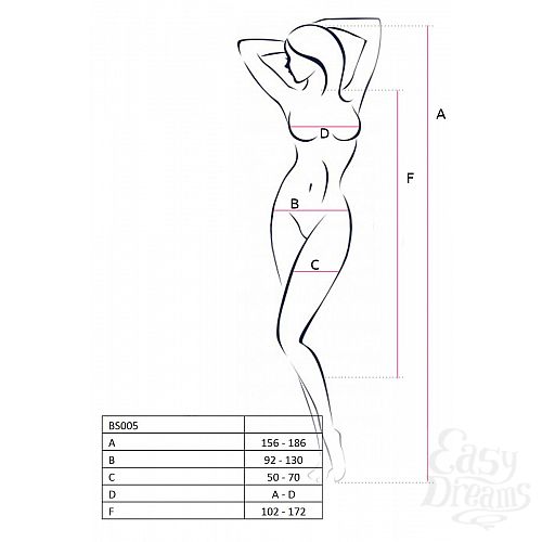  3  -   
