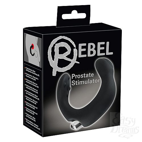  6  -   Rebel  