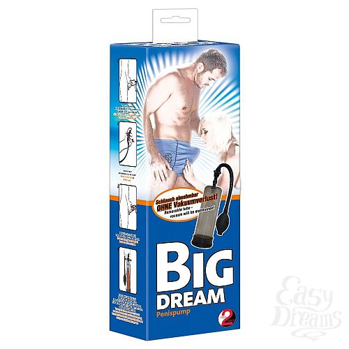  3       Big Dream