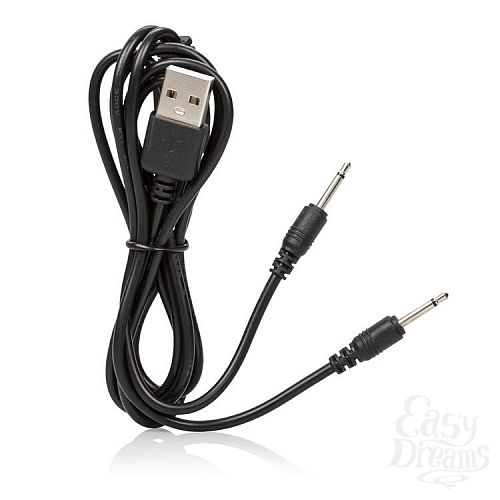  6     Remote Lock N Play Panty Tease  California Exotic Novelties, 11.5  