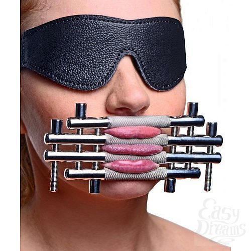  2       Stainless Steel Lips and Tongue Press
