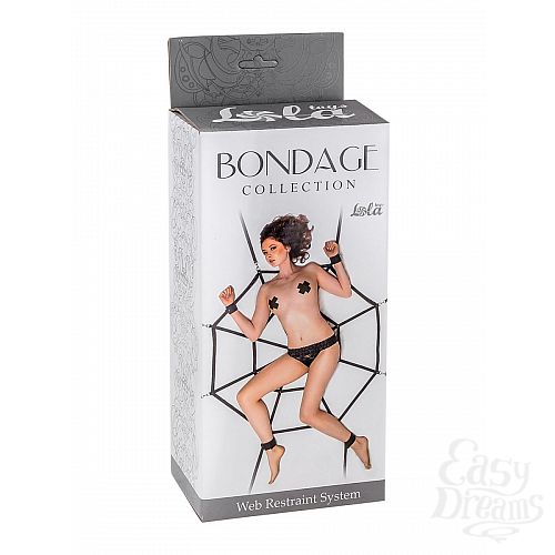  1:     Web Restraint System Plus Size