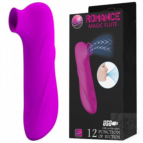  4     Magic Flute