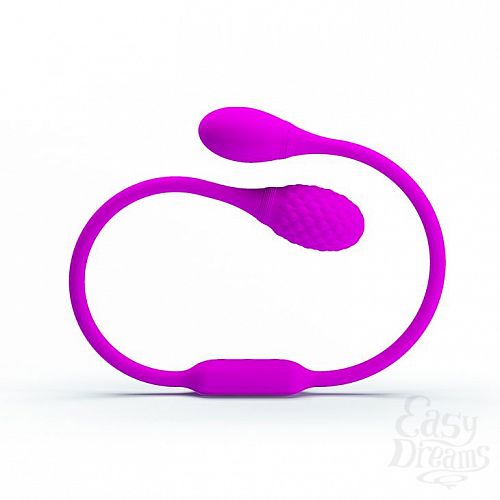  4         Dream Lovers Whip