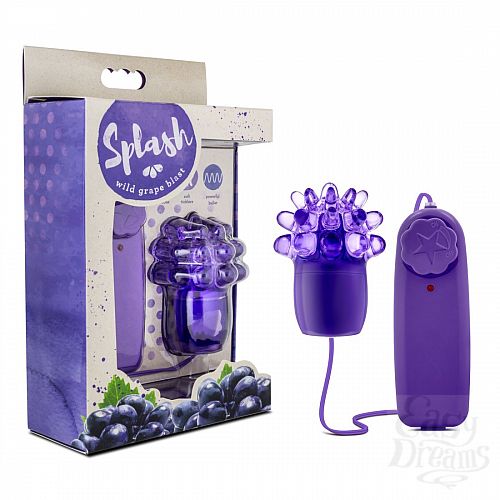  2      Splash Wild Grape Blast 