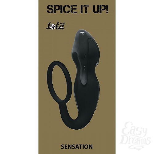  3  ׸   Sensation    