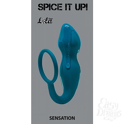  3     Sensation    