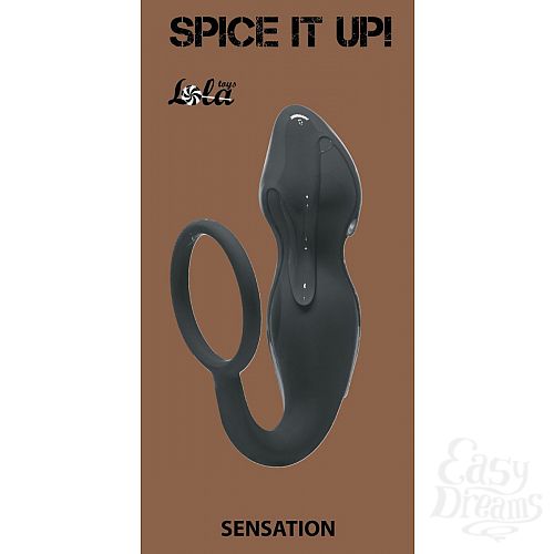  2     Sensation    