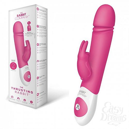  2       Thrusting Rabbit 