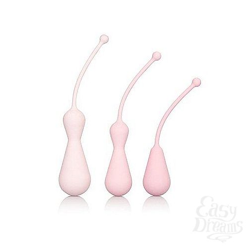  2     Inspire Kegel Trainig Kit, 3 ., 