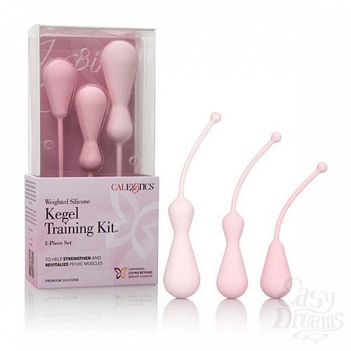  3     Inspire Kegel Trainig Kit, 3 ., 