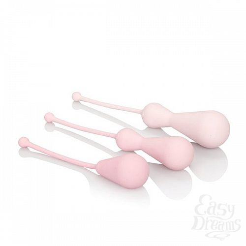  4     Inspire Kegel Trainig Kit, 3 ., 