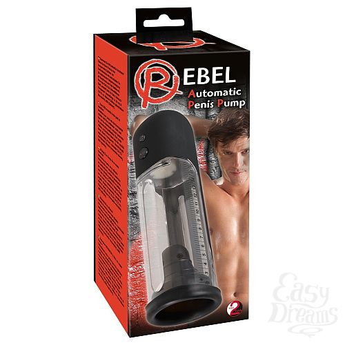  3      Rebel, 24.5 , 