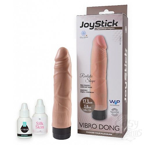  1:    JOYSTICK - 17,3 .