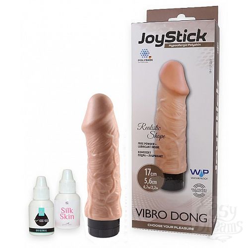  1:     JOYSTICK - 17 .