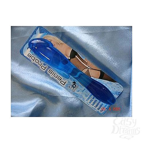  1:  -  Penis Probe (ToyJoy 7183)