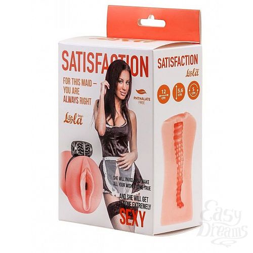  1:     Satisfaction Magazine Maid