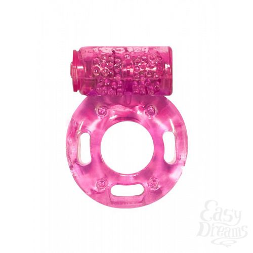  1:       Rings Axle-pin