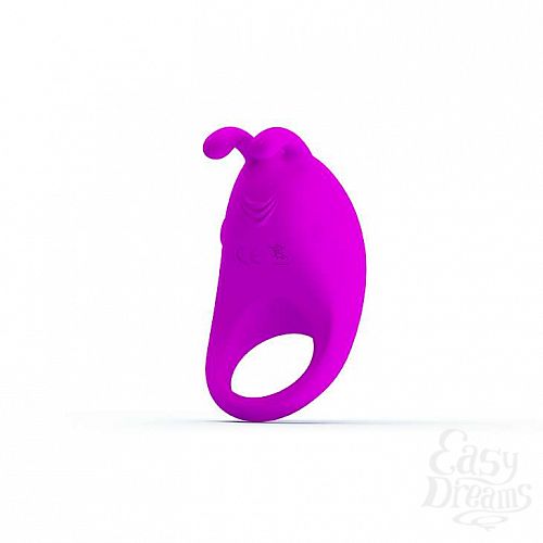  2       Rabbit Vibrator