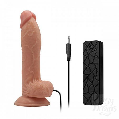  1:   -   REALSTUFF 6.5INCH VIBRATOR - 17 .